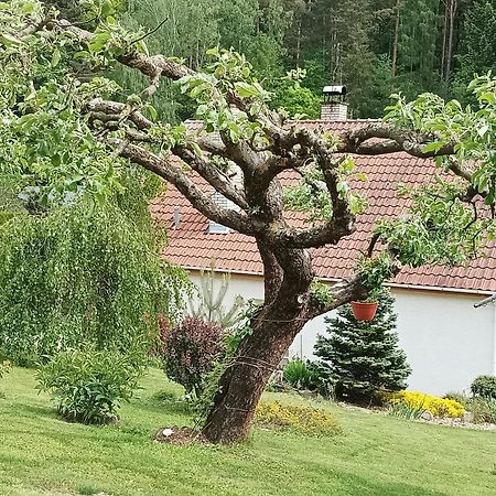 Ubytovani Iris Dolany  Zewnętrze zdjęcie