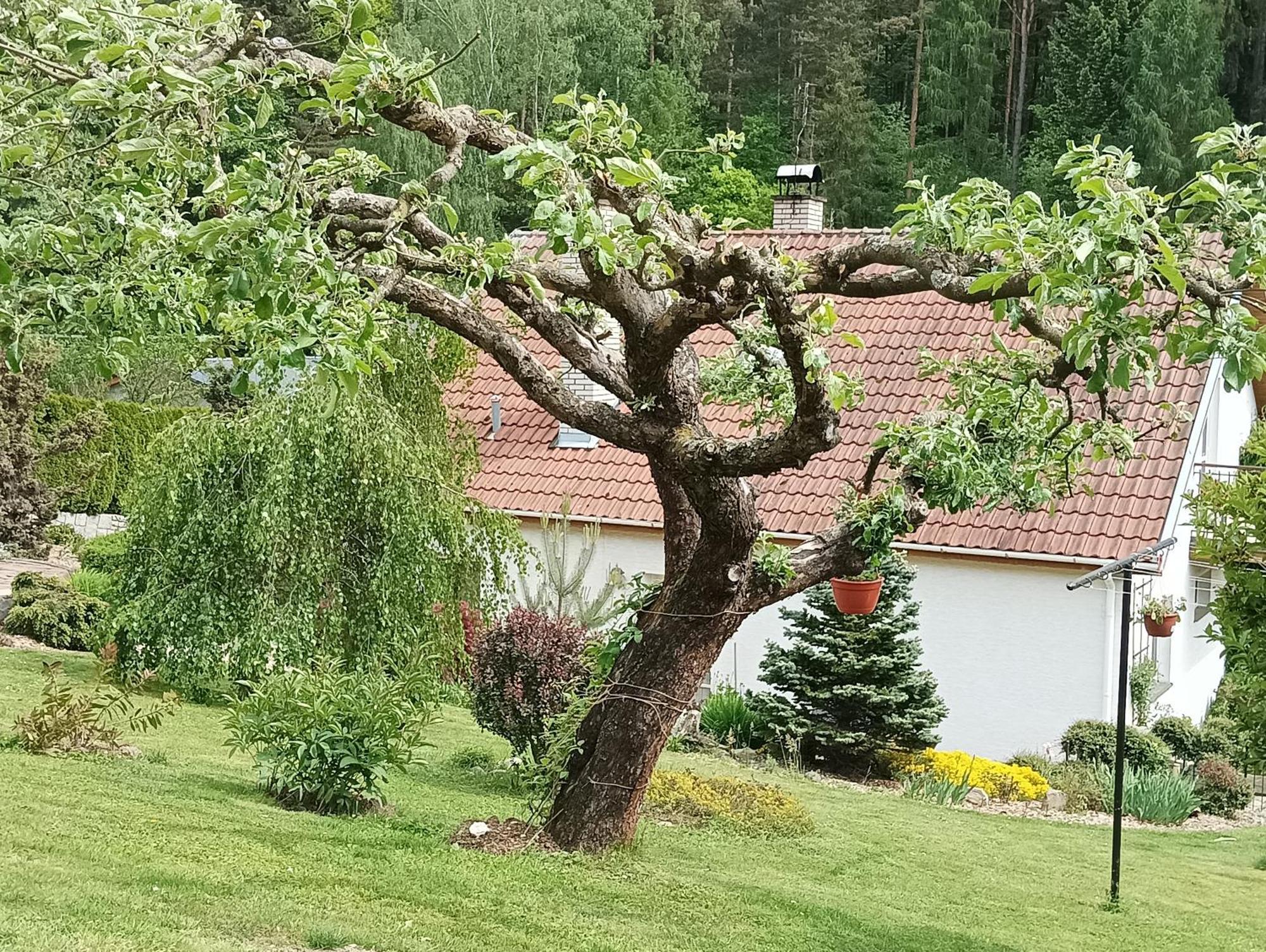 Ubytovani Iris Dolany  Zewnętrze zdjęcie
